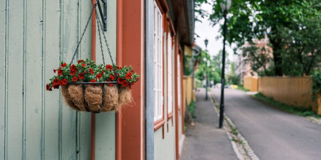 pexels-borisk-12339263